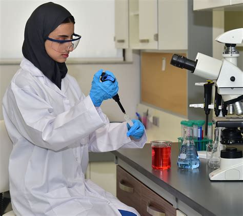 qatar university requirements for medicine