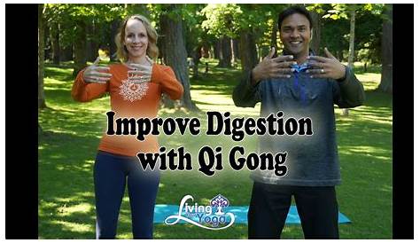 LEE HOLDEN - QI GONG FOR HEALTHY DIGESTION - VIDEOFIGHT