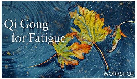 Qi Gong for Fatigue Workshop with Lee Holden