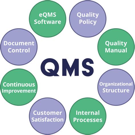 qms software systems for quality improvement