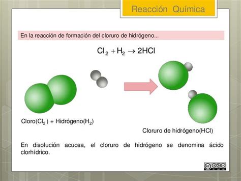 Reacciones químicas en las plantas Quimica Quimica
