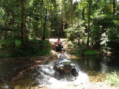 quad bike tour cairns