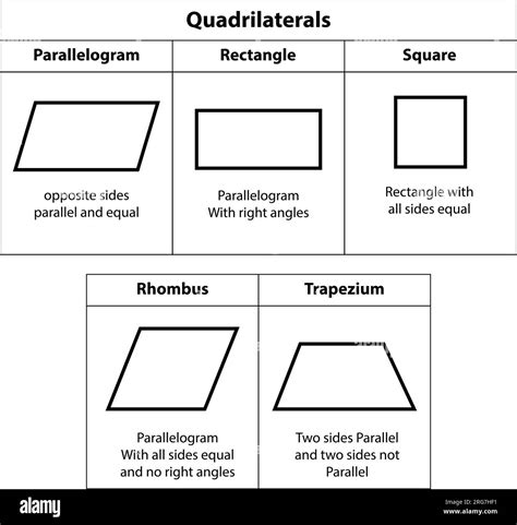 Quadrilateral Parallelogram Square Rectangle