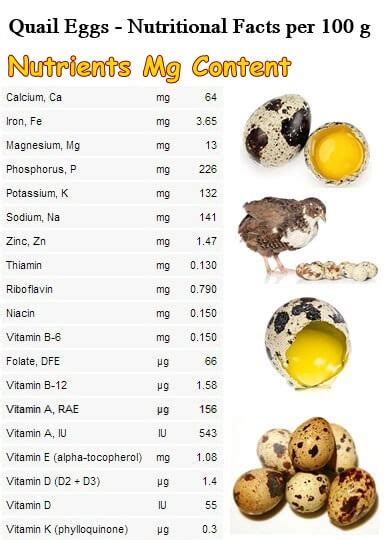 Quail Eggs Cholesterol Level