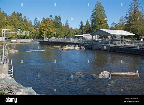 Qualicum Salmon Hatchery
