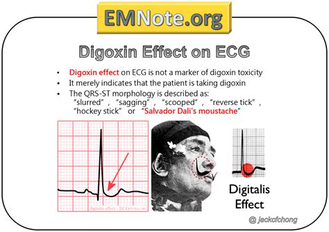 Qualificia Digitalis