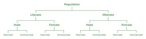 Qualitative Classification Class 11