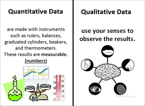 qualitative vs quantitative examples quizlet