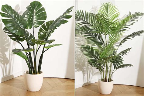 Quality Artificial Indoor Plants