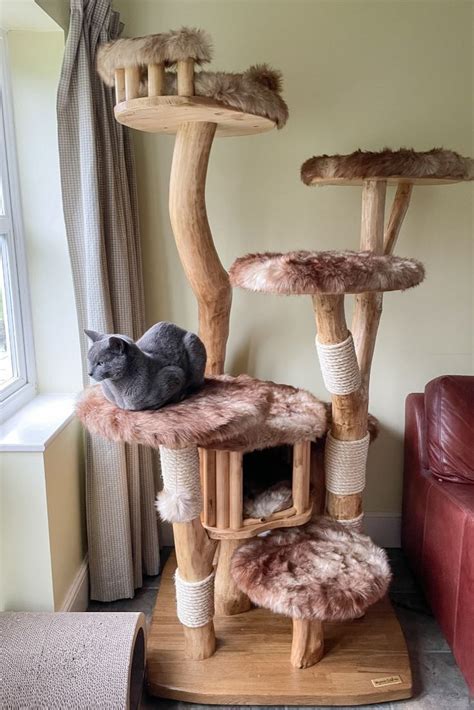Quality Cat Trees Uk