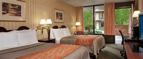 Discover Quality Inn Tysons Corner: Comfort and Convenience Combined
