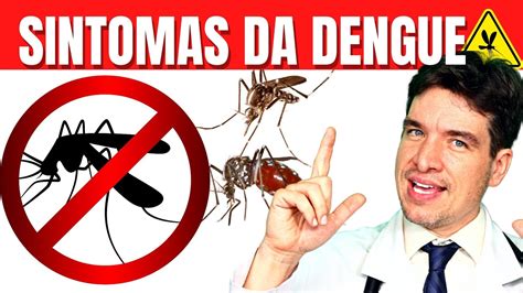 quando a dengue chegou no brasil