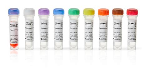 Quant-It Protein Assay Kit With A Microplate Reader