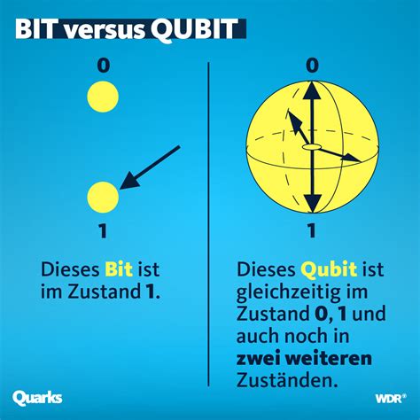 Quant-It Vs Qubit