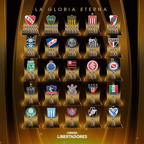 quantas libertadores o nacional tem