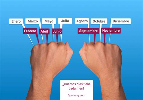 quantidade de dias 2024