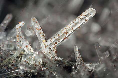 Quartz Needle Crystals