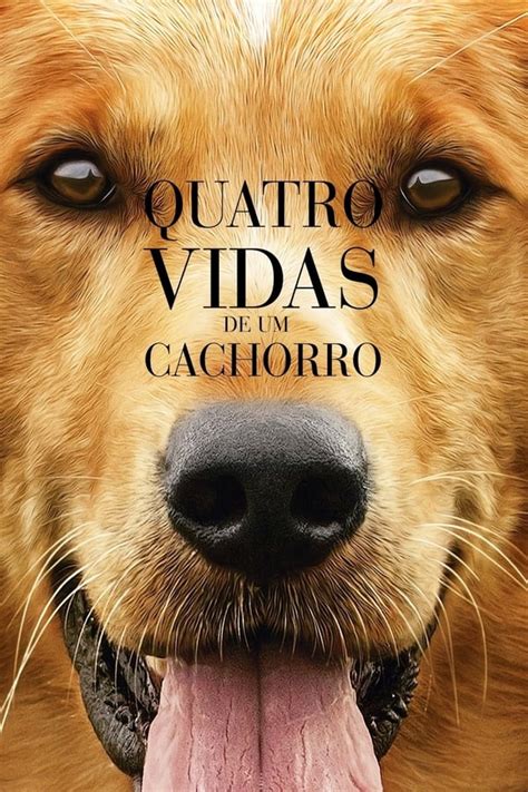 quatro vidas de um cachorro baixar