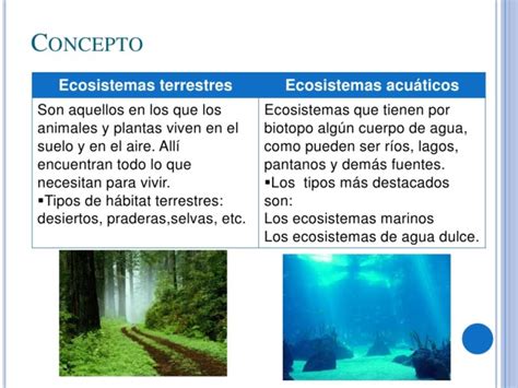 Ecosistemas terrestres y acuáticos