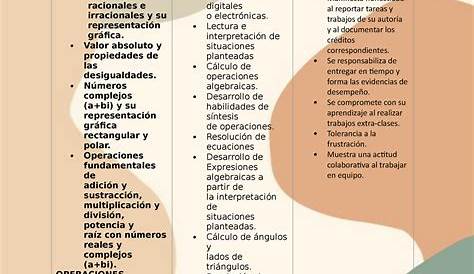 Calaméo - Contenido temático Informatica I