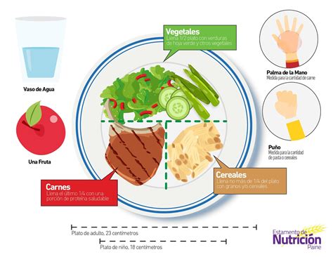 Nutricion Como puedo medir una porcion de comida