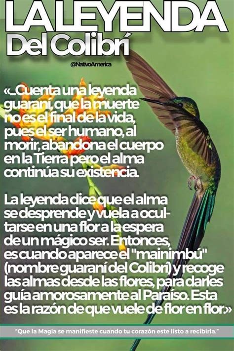 Colibri significado esoterico espiritual y que significa ver un colibri