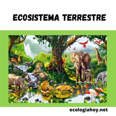 Calaméo Ecosistemas ENOC