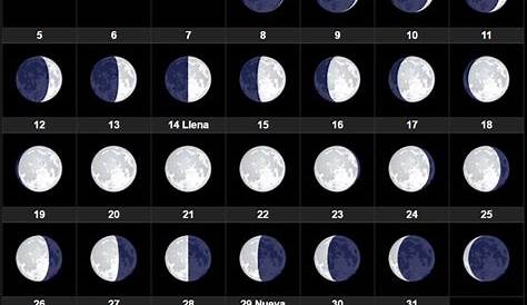 La luna: Características, etapas, movimientos, leyendas y más