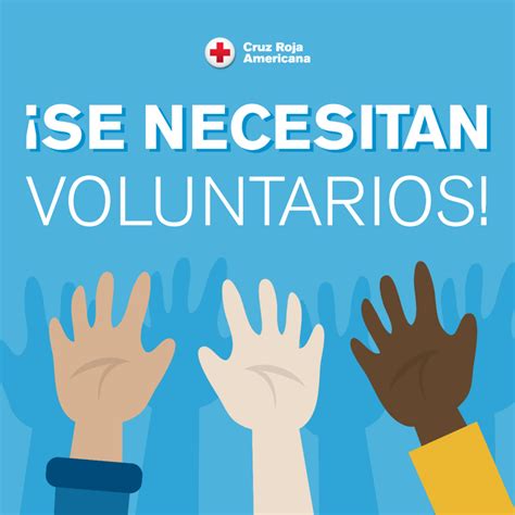 que acciones llevan a cabo los voluntarios