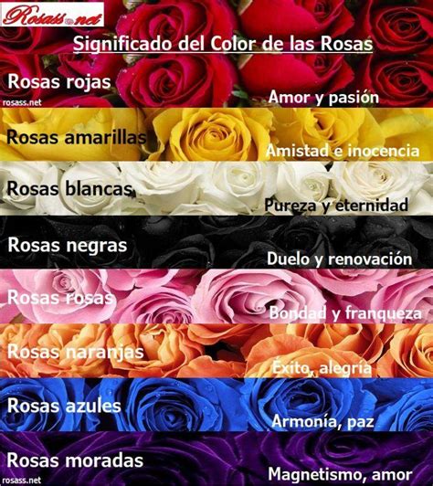 que colores de rosas hay