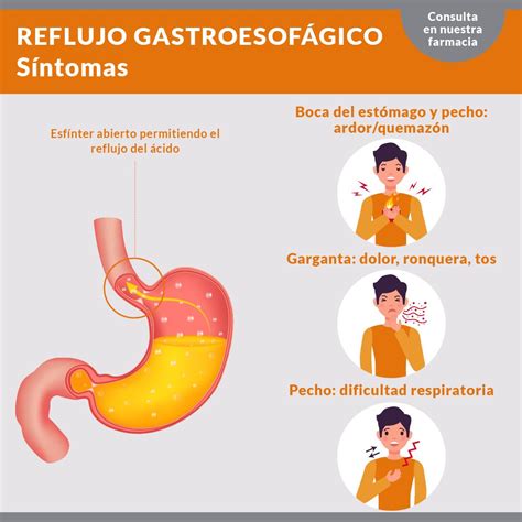 Que Comer Cuando Se Tiene Reflujo