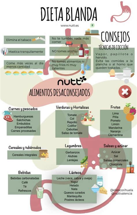 Que Comer Para Dieta Blanda