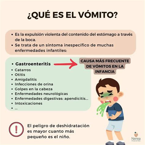 Que Comer Si Vomito Todo