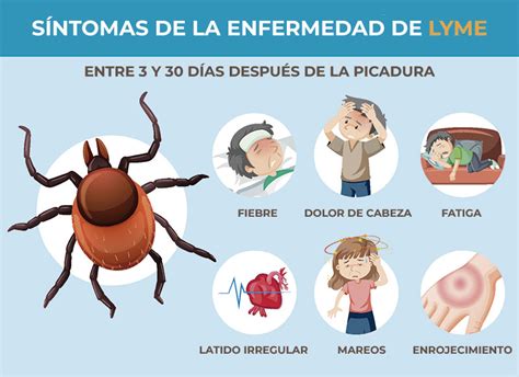 que enfermedad es el lyme