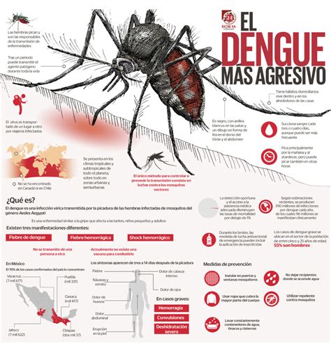 que es el dengue grave