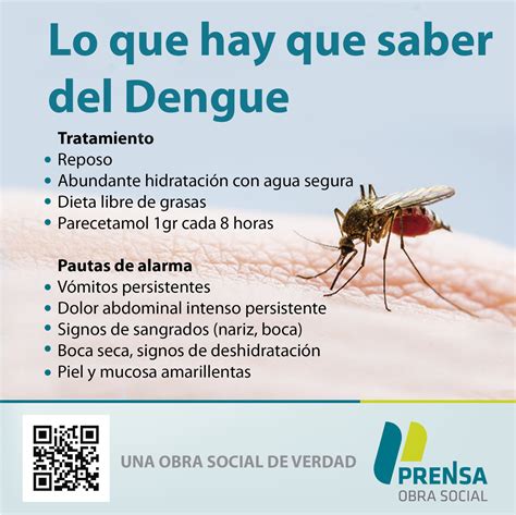 que es el dengue y como se cura