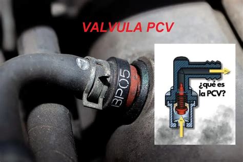 Que Es La Valvula Pcv