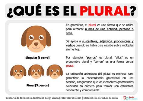 Plural nouns 1º Educación Primaria SEKAtlántico