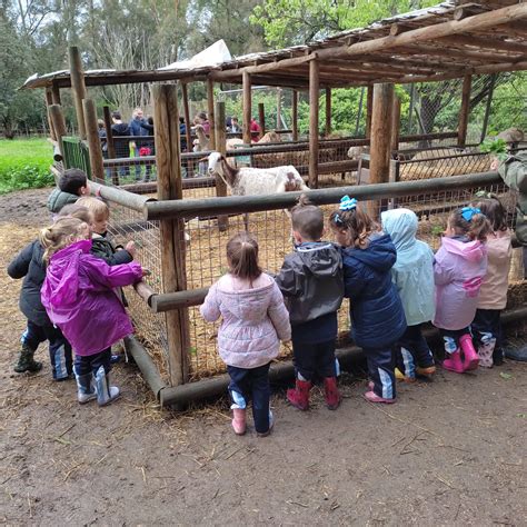 que se hace en una granja escuela