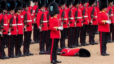 queen's guard passes out