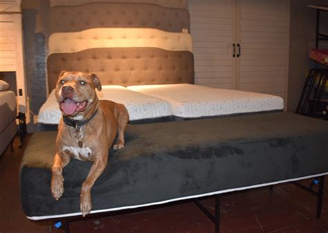 queen bed extension for dogs