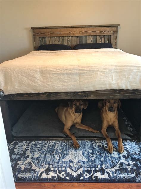 queen bed frame with dog bed underneath