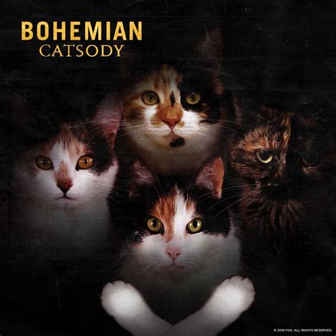 queen bohemian rhapsody by cats