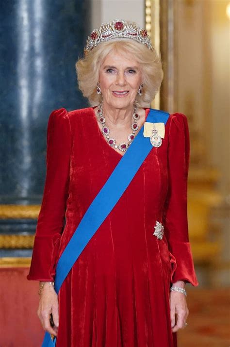 queen camilla visits king charles
