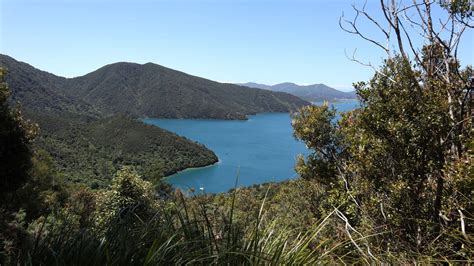 queen charlotte new zealand