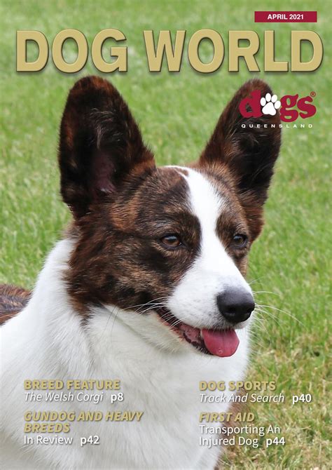 queensland dog world magazine