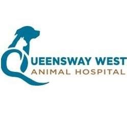 queensway west animal hospital ottawa