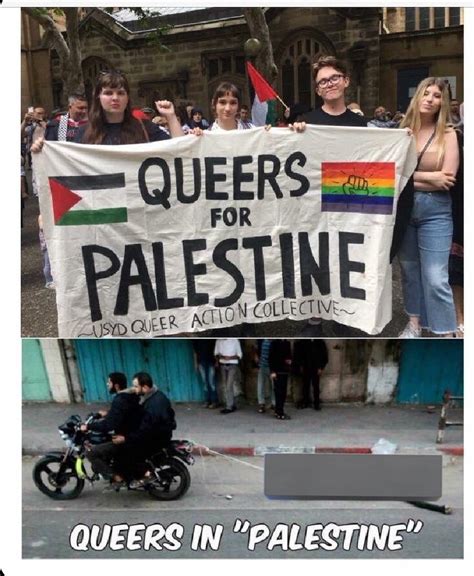 queers for palestine reddit