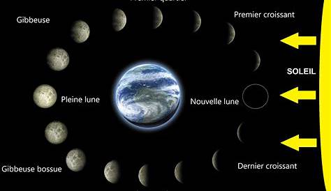 Les phases de la lune final