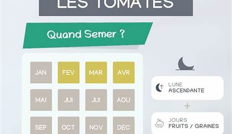 Quand planter tomates pleine terre ? - Maison Plus